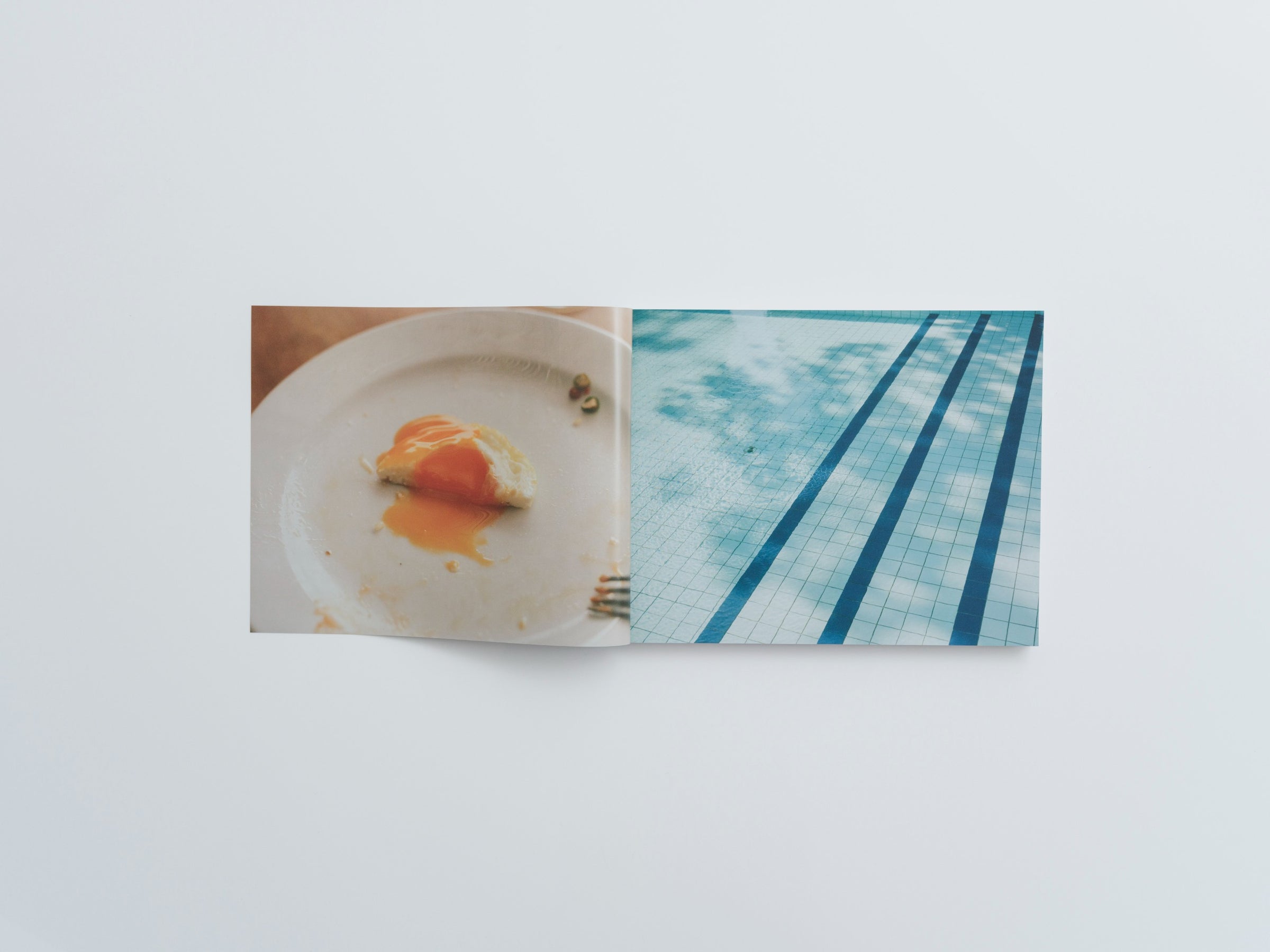 気持ちね 服部恭平 | SHABA