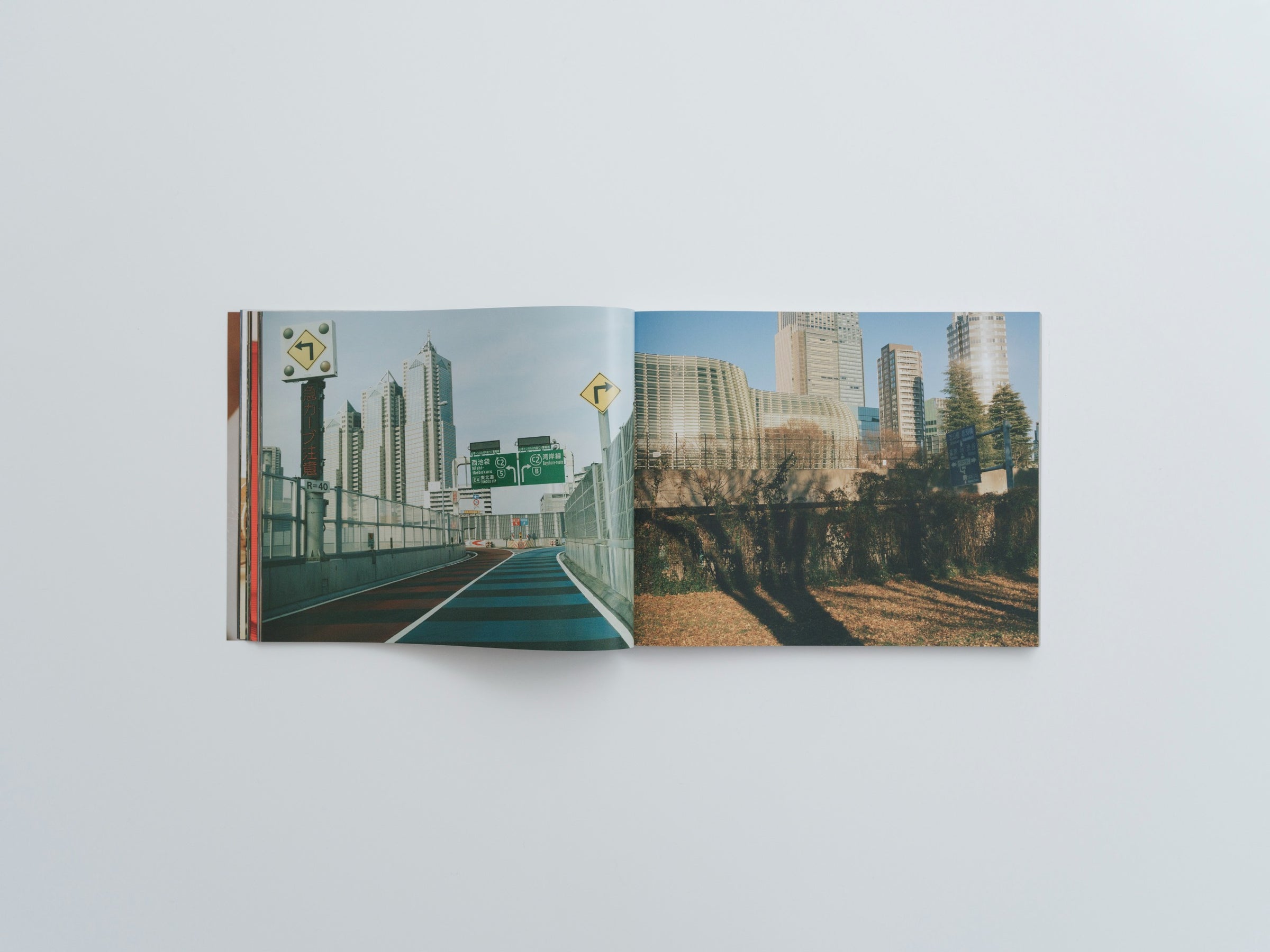 気持ちね 服部恭平 | SHABA