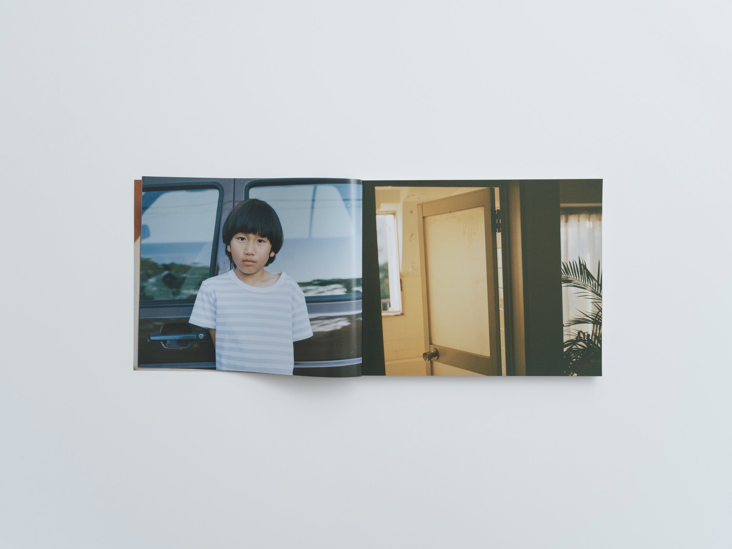 気持ちね 服部恭平 | SHABA