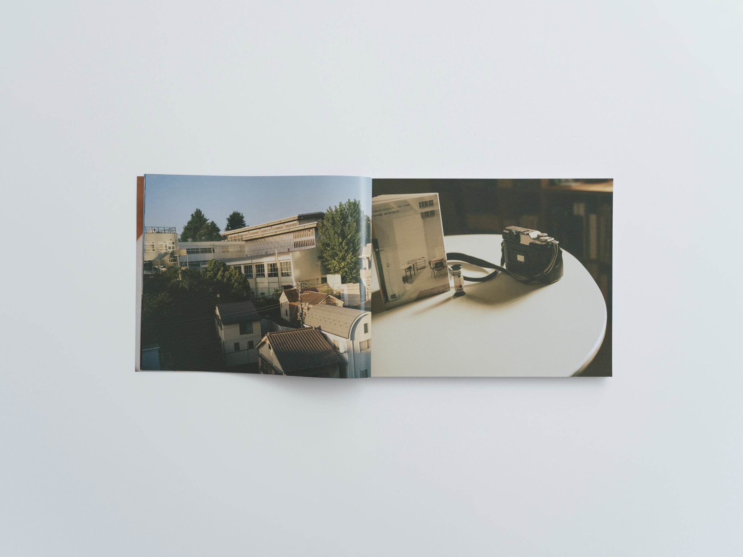 気持ちね 服部恭平 | SHABA