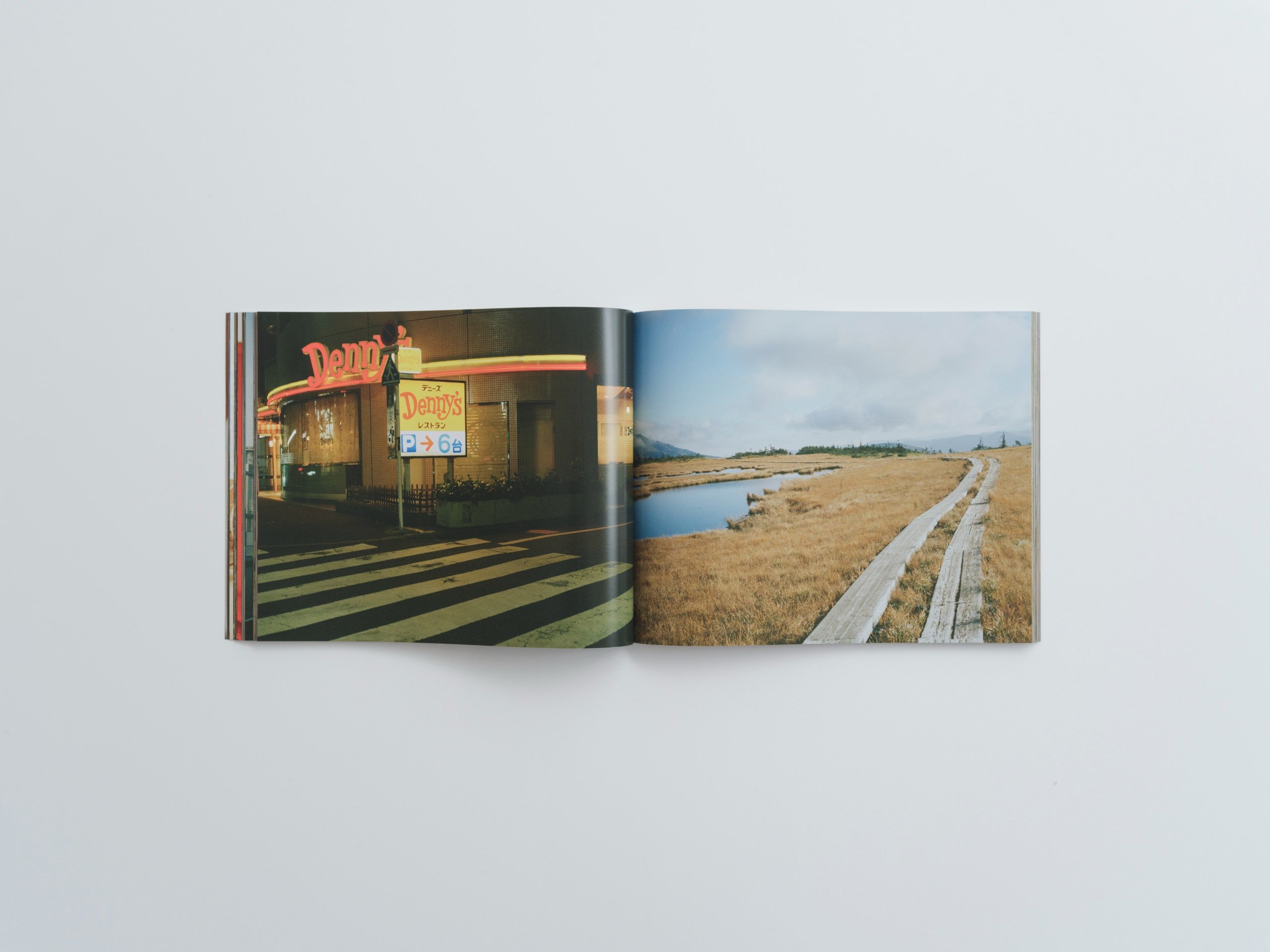 気持ちね 服部恭平 | SHABA